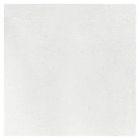 Потолочная плита Рокфон Лилия 12 A 15/24 600x600x12