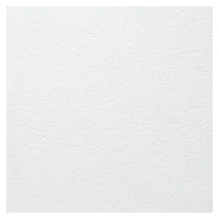 Потолочная плита Армстронг BIOGUARD PLAIN Tegular 15 1200x600x15