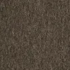 Ковровая плитка для пола Carus 1010 995