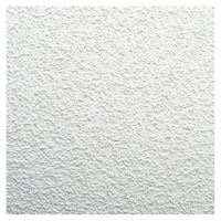 Потолочная плита Армстронг OASIS NG Board 600x600x12